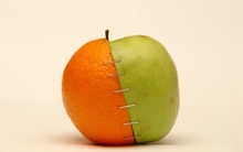 fruits oranges stitch apples 1600x1200 wallpaper 